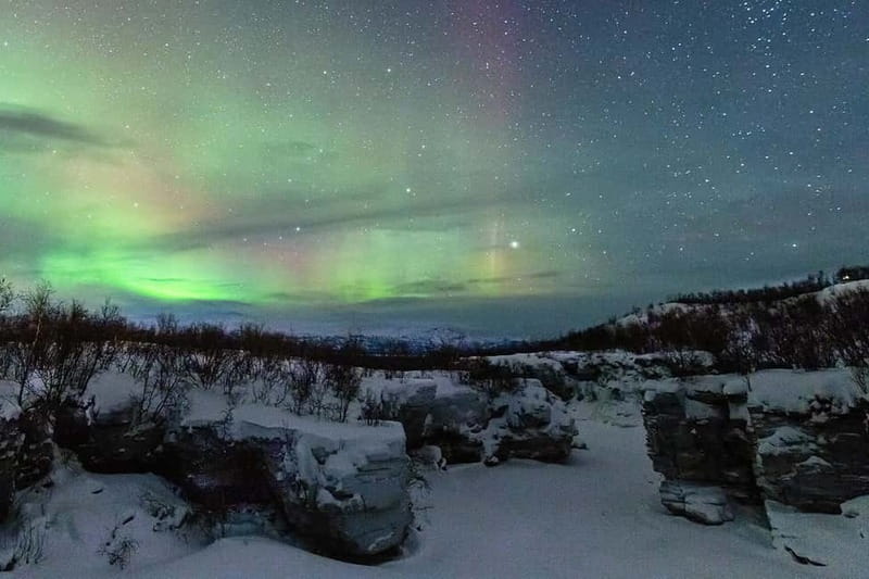 Kiruna: Abisko Northern Lights Tour with Dinner - Exciting Northern Lights Tour from Kiruna to Abisko with Dinner and Cultural Insights