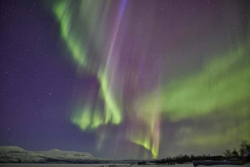 Kiruna: Abisko Northern Lights Tour with Dinner - Key Points