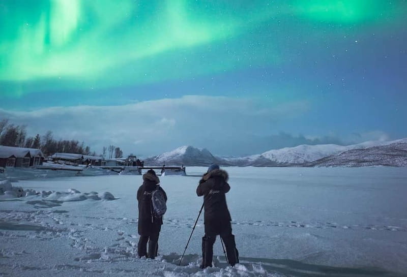 Kiruna: Abisko Northern Lights Tour with Dinner - Journey to Abisko National Park