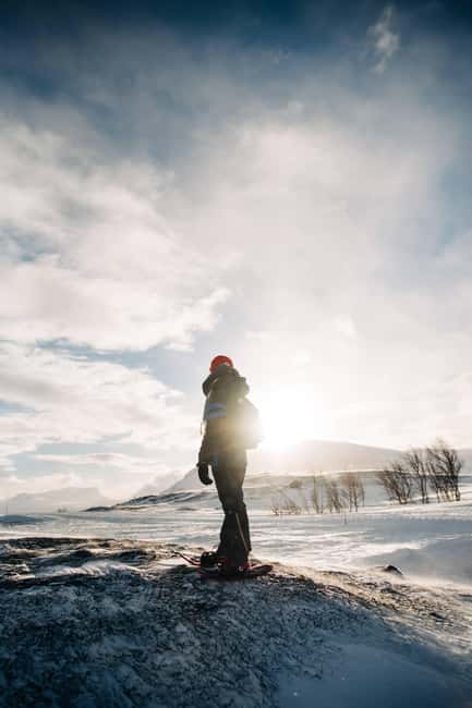 Kiruna: Daytime Snowshoe Hike - Discover the Arctic with a Daytime Snowshoe Hike Near Kiruna