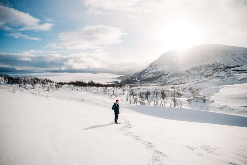 Kiruna: Daytime Snowshoe Hike - Key Points
