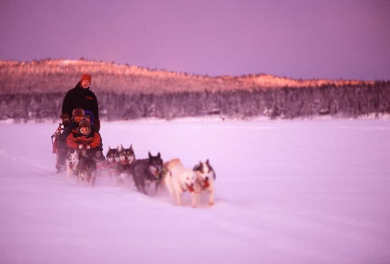 Kiruna: Family-friendly Short Husky Tour with Coffee - Riding on a Large Husky Sleigh in the Swedish Wilderness