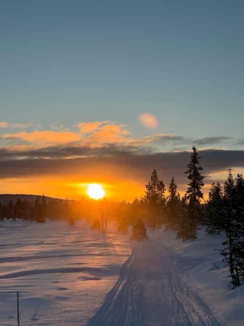 Kiruna: Guided Snowmobile Tour and Swedish Fika Experience - Wildlife Sightings and Unmissable Views