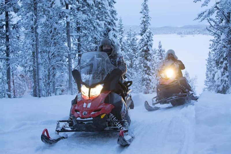 Kiruna: Guided Snowmobile Tour with Lunch - Snowmobile Ride Through the Torne River Valley and Forests