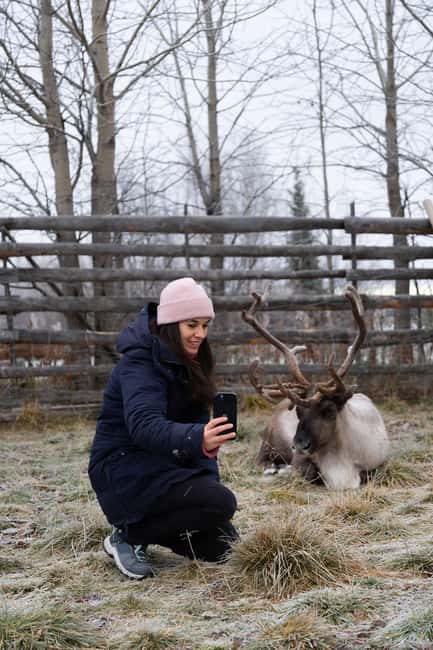 Kiruna: Icehotel and Sami Camp Day Trip - Visiting the Reindeer Camp and Learning Sami Ways of Life