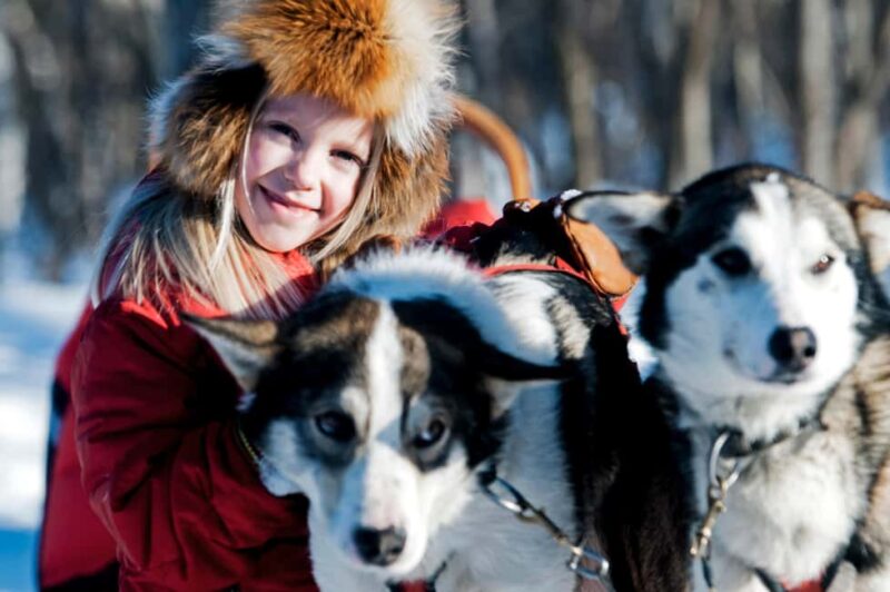 Kiruna: Morning Dogsled Ride with Swedish Fika - Key Points