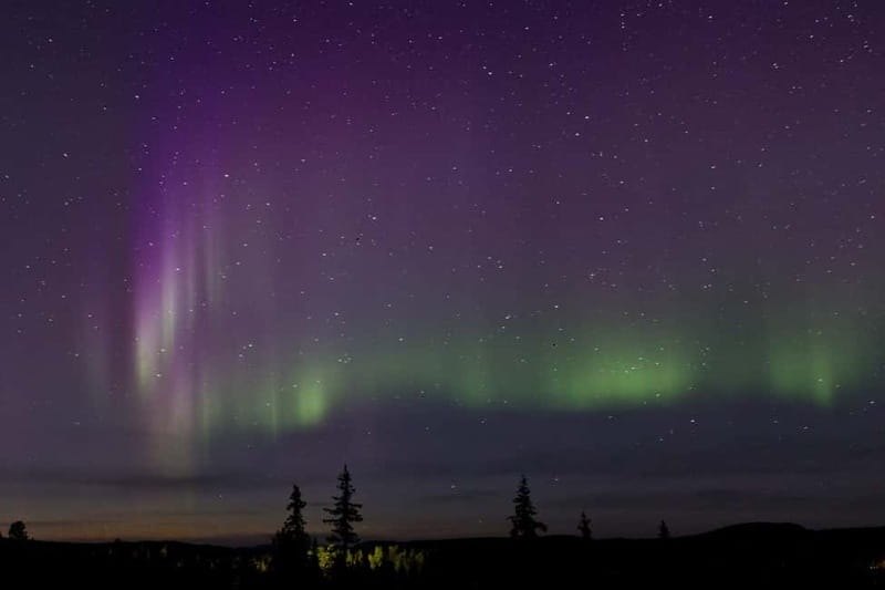 Kiruna: Northern Lights Dog Sled Tour with Swedish Fika - The Start: Free Pickup and Warm Winter Gear in Kiruna