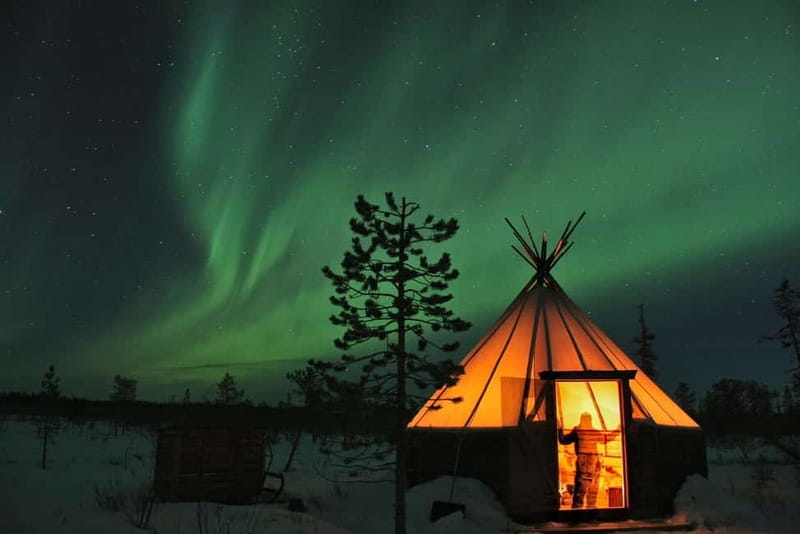 Kiruna: Northern Lights Dog Sled Tour with Swedish Fika - Spotting the Aurora Borealis During the Sled Ride