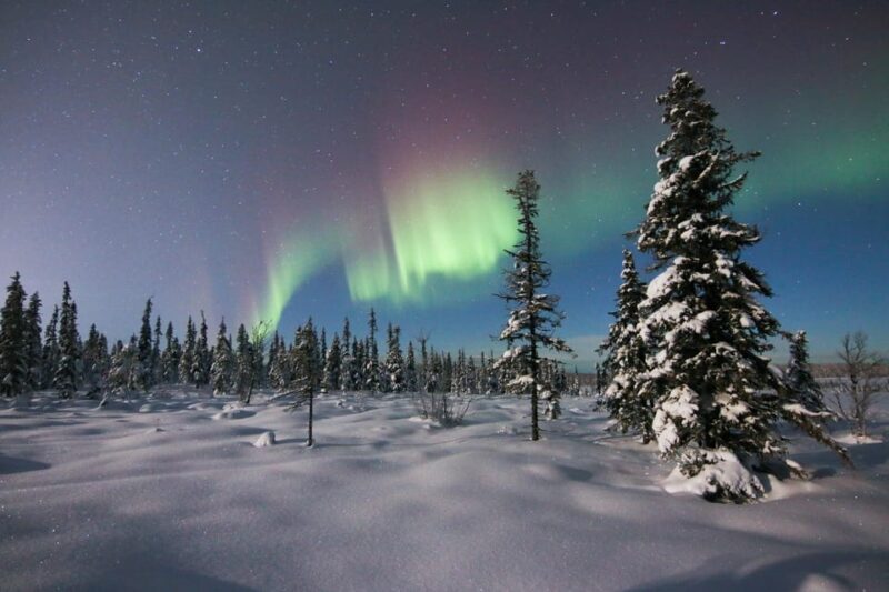 Kiruna: Northern Lights Minivan Chase with Warm Drink - How the Minivan Takes You to Prime Aurora Viewing Spots