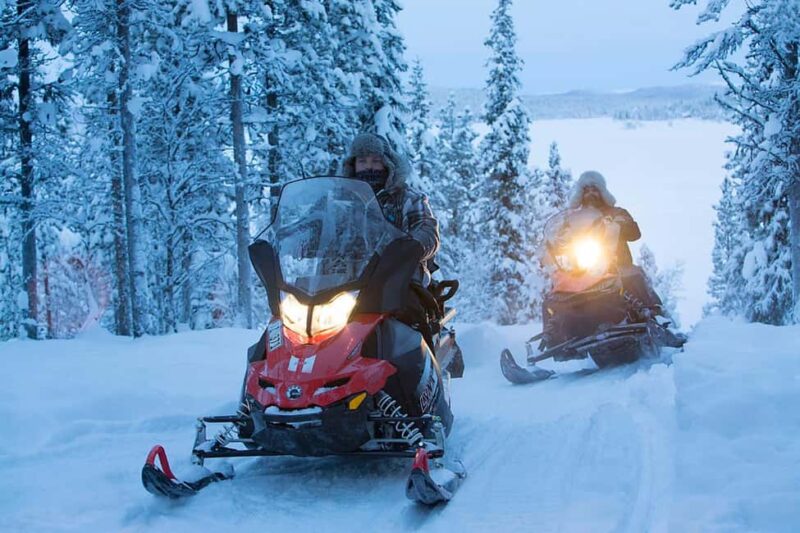 Kiruna: Northern Lights Snowmobile Tour with Dinner - From the Torne River to the Silent Forests of Lapland