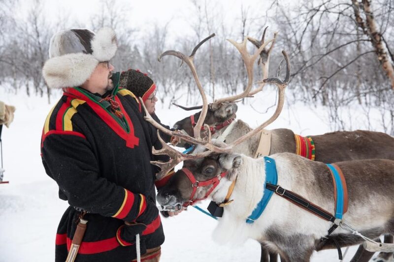 KIRUNA: Sami Reindeer Experience - Lasso Throwing and Reindeer Sled Riding