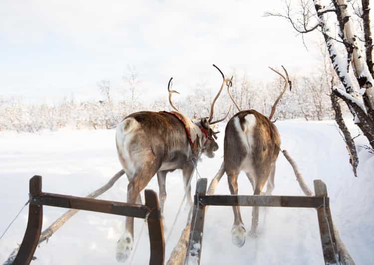 KIRUNA: Sami Reindeer Experience - Sami Culture and Stories Around the Fire