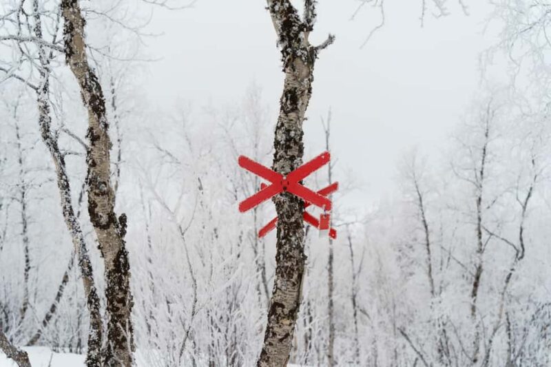 Kiruna: Small Group Snowmobile with Snacks - Introduction to the Snowmobile Tour in Kiruna