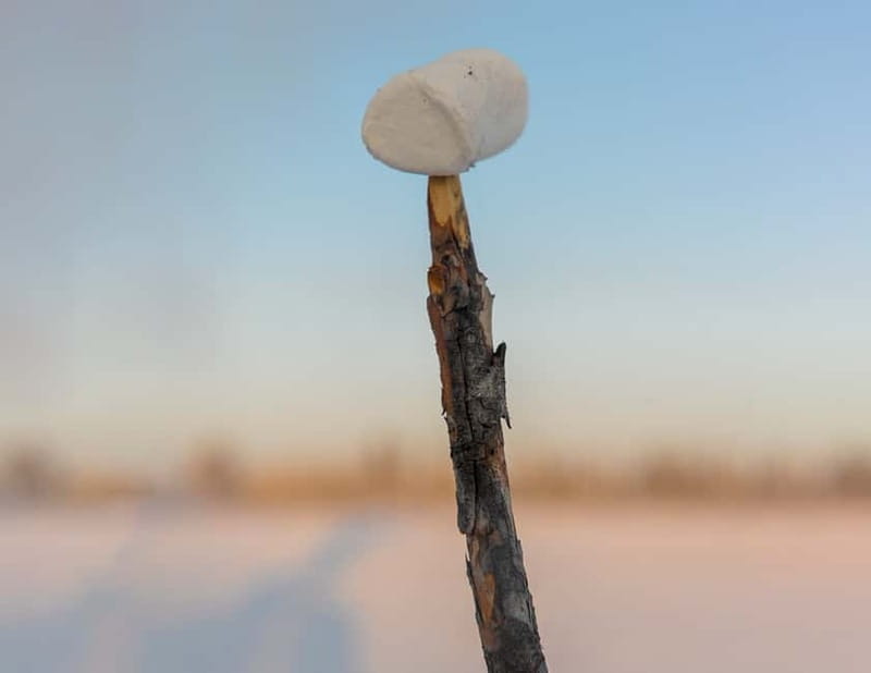 Kiruna: Snowshoe Hike & Ice fishing Tour - Explore the Arctic Landscape on Snowshoes in Kiruna