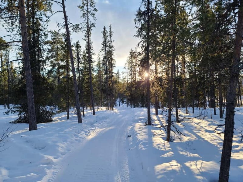 Kiruna: Snowshoe Trek with Warm Beverage and Sandwich - Key Points