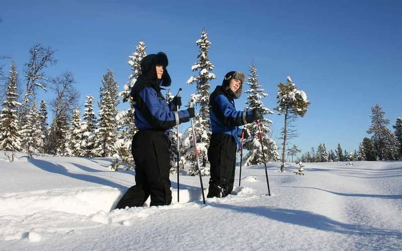 Kiruna: Snowshoe Trek with Warm Beverage and Sandwich - What’s Included in the Snowshoe Experience