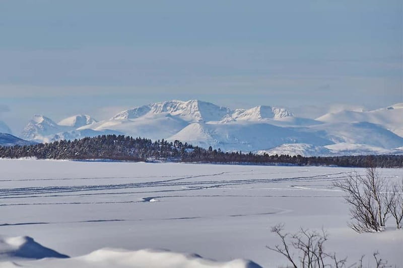 Kiruna: Wildlife and nature photography - The Tour’s Physical and Environmental Considerations