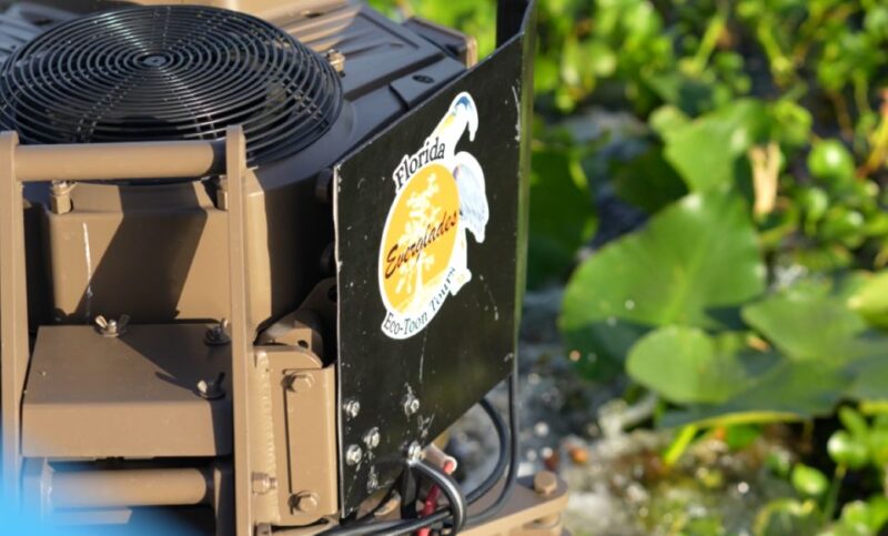 Kissimmee: 1 Hour Florida Everglades Pontoon Boat Tour - Practical Tips for the 1-Hour Experience