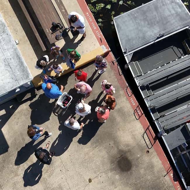 Kissimmee: Everglades Alligator and Wildlife Airboat Tour - What Sets This Tour Apart from Other Everglades Excursions