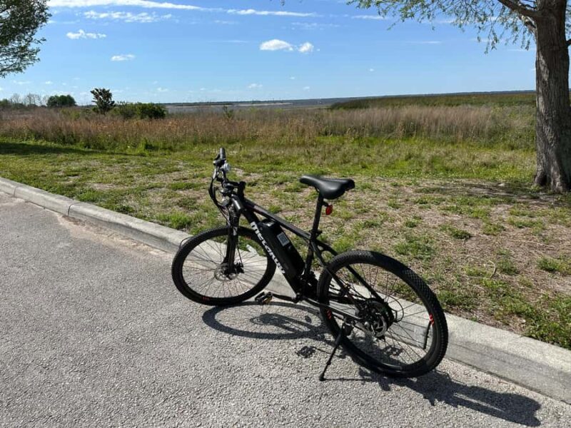Kissimmee: Self-Guided Lakefront Tour on Electric Bike - The Route’s Wildlife Encounters and Scenic Views