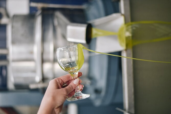 Kleanthi Olive Farm: Guided Tour with Local Delicacies Tasting - Booking and Practical Info