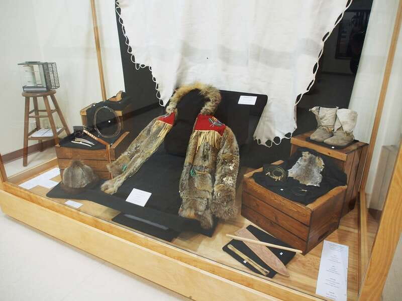 Kluane National Park: Full Day Tour - Key Points