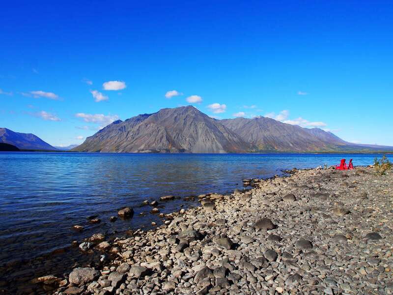 Kluane National Park: Full Day Tour - Wildlife Encounters and Scenic Drive Highlights