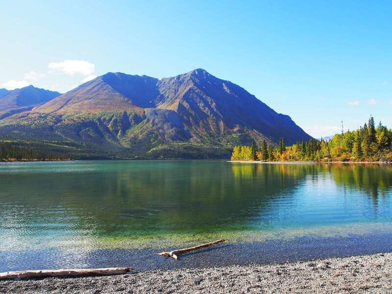 Kluane National Park: Full Day Tour - The Sum Up: A Well-Rounded Day in Kluane