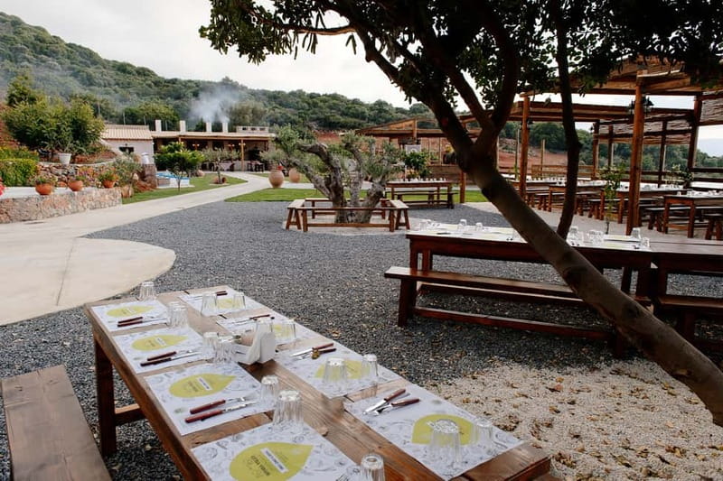 Knossos, Lasithi, Zeus Cave & Olive Mill Farm Combo Tour - Practical Tips for a Smooth Day