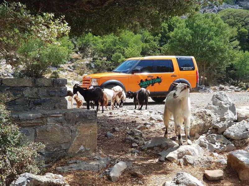 Knossos Palace and Pottery experience. Excursion Safari - Strengths and Limitations of the Tour