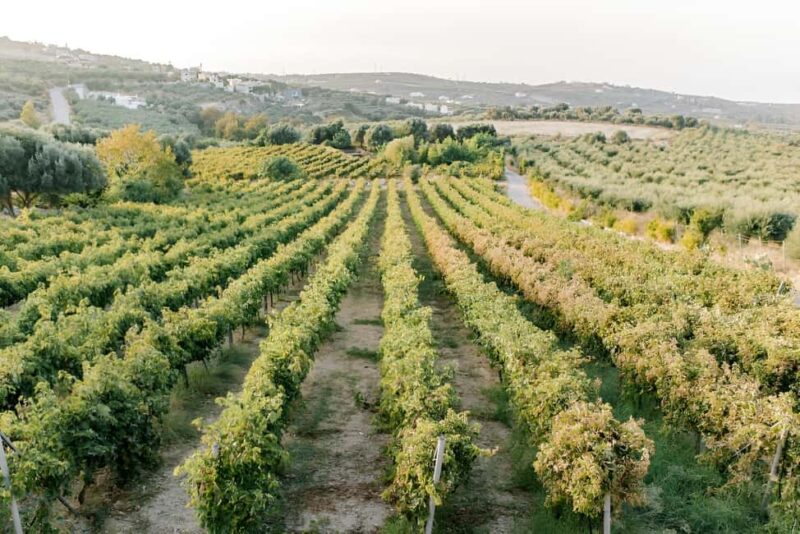 Knossos palace, Archanes village & Winery from Heraklion - Discover Crete’s Ancient and Authentic Charm in One Day