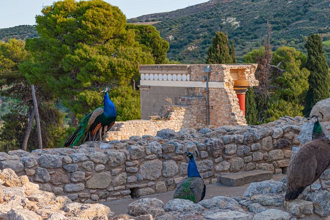 Knossos Palace Private Walking Tour - Who Would Most Enjoy This Tour?