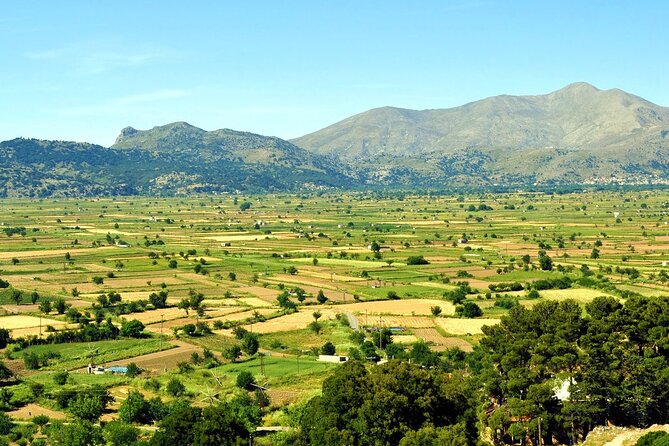 Knossos, Tracing Zeus in Mythic Landscapes & Olive Mill | Private - Exploring the Scenic Lassithi Plateau and Optional Lunch