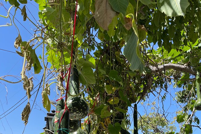 Knossos-ZeusHomeland-Traditional Villages-Olive Oil Factory - The Iconic Knossos Archaeological Site