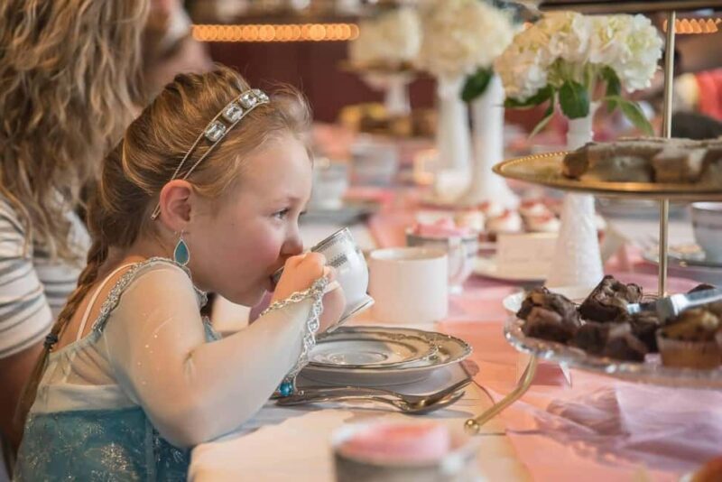 Knoxville: Afternoon Sightseeing Cruise on Tennessee River - Wildlife Spotting: Eagles and Ospreys in Their Habitat