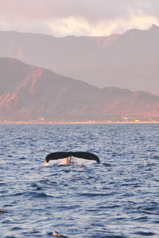 Ko Olina Captain's Sunset + Tasting - Key Points