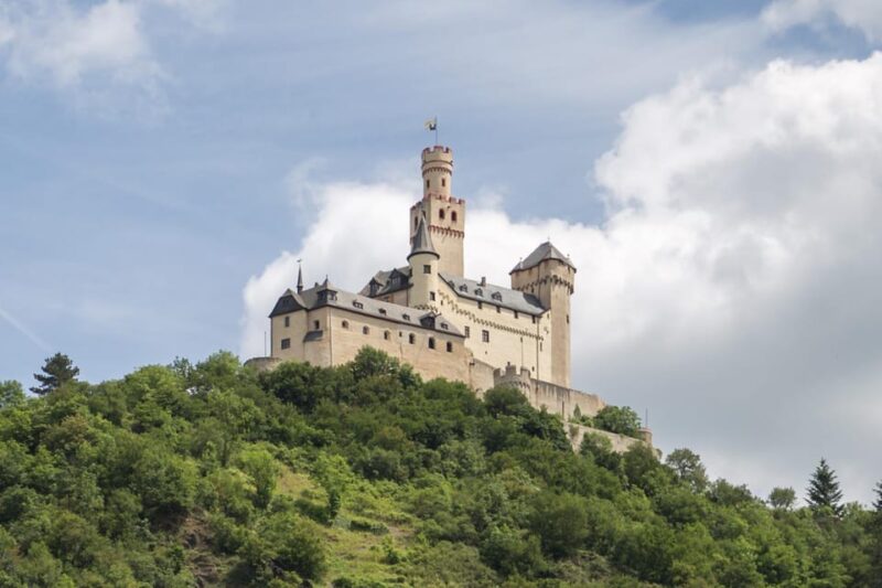 Koblenz: Rhine Valley Castles and Palaces Boat Tour - The Unique Density of Castles Along the Rhine