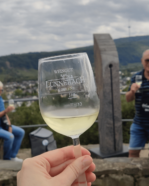 Koblenz: The Living Vineyard, Nature & Wine Enjoyment - Discover Koblenz’s Vineyard and Scenic Views for €30