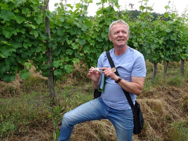 Koblenz: The Living Vineyard, Nature & Wine Enjoyment - Exploring the Moselle Landscape: Flora, Fauna, and Habitat Diversity