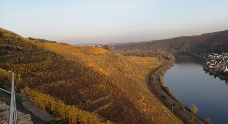 Koblenz: The Living Vineyard, Nature & Wine Enjoyment - Historical Significance of the Path from Lunnebach to Koblenz