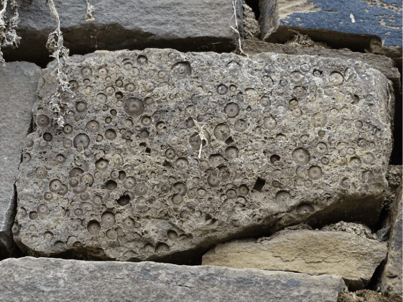 Koblenz: The Living Vineyard, Nature & Wine Enjoyment - Comparing This Tour to Similar Experiences