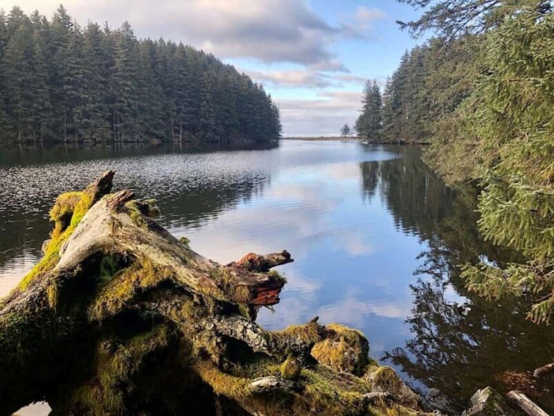 Kodiak: Rainforest Hike with Naturalist Guide - Key Points