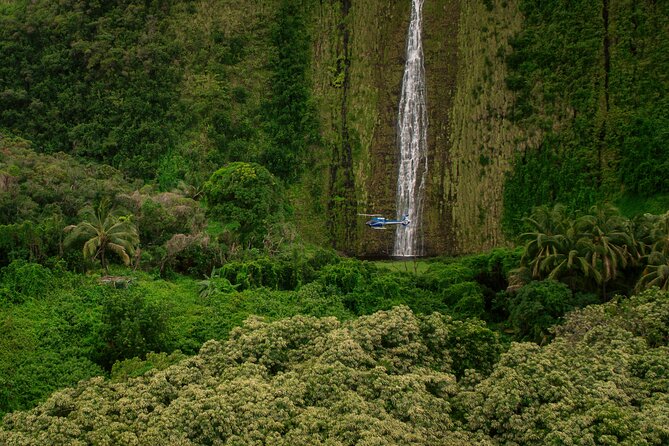 Kohala Waterfalls with Exclusive Landing Helicopter Tour - The Private Landing at Laupahoehoe Nui Waterfall