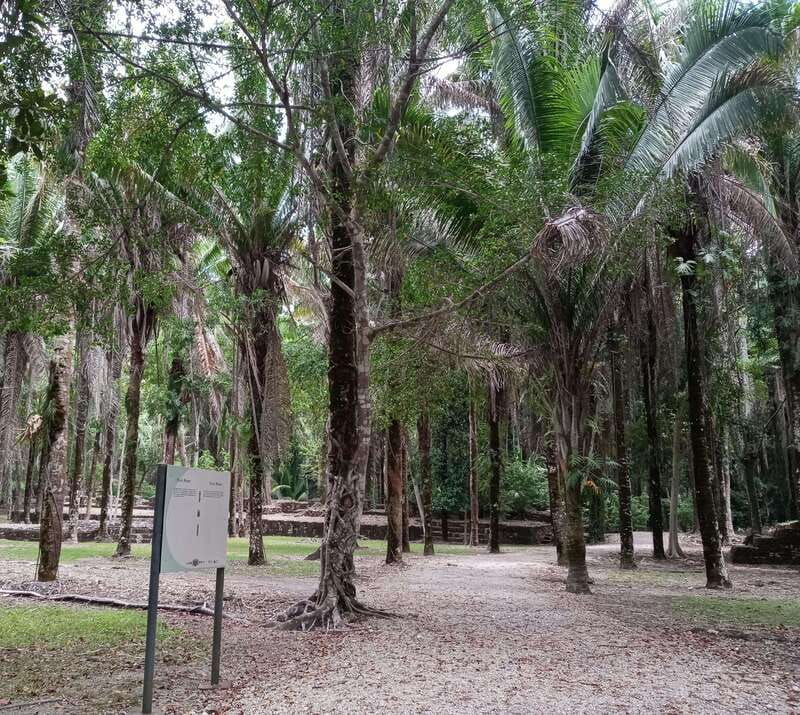 Kohunlich Mayan Ruins: With Professional Native Guides - Physical Requirements and Accessibility