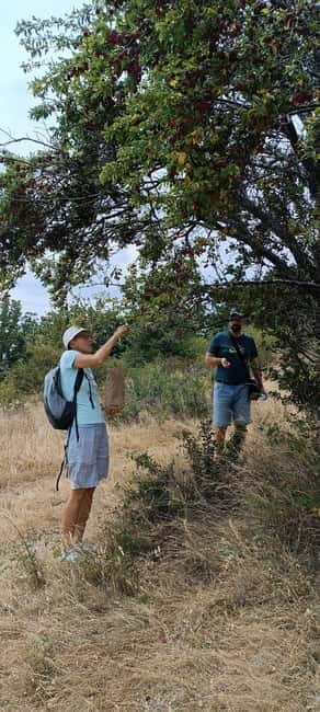 Kokino, Kuklica and Kratovo from Skopje - Logistics and Accessibility