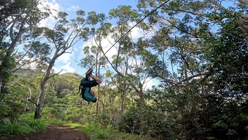 Koloa: Kauais Longest 8-Line Zipline Tour - The Scenic Views Across Kauais South Shore