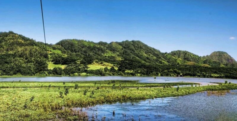 Koloa: Kauais Longest 8-Line Zipline Tour - The Experience Duration and Pacing