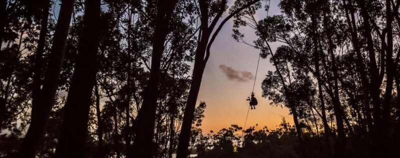 Koloa: Kauais Longest 8-Line Zipline Tour - The Different Ziplining Styles and Their Excitement Level