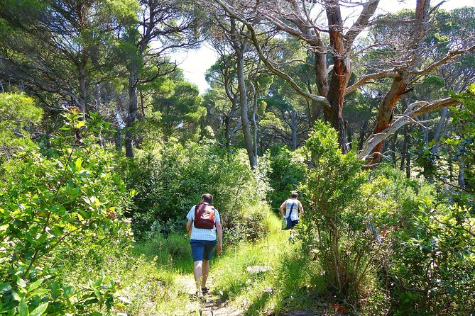 Kolocep Island Hiking and Swimming Full Day Trip from Dubrovnik - Kolocep Island Hiking and Swimming: A Memorable Day for Nature Lovers