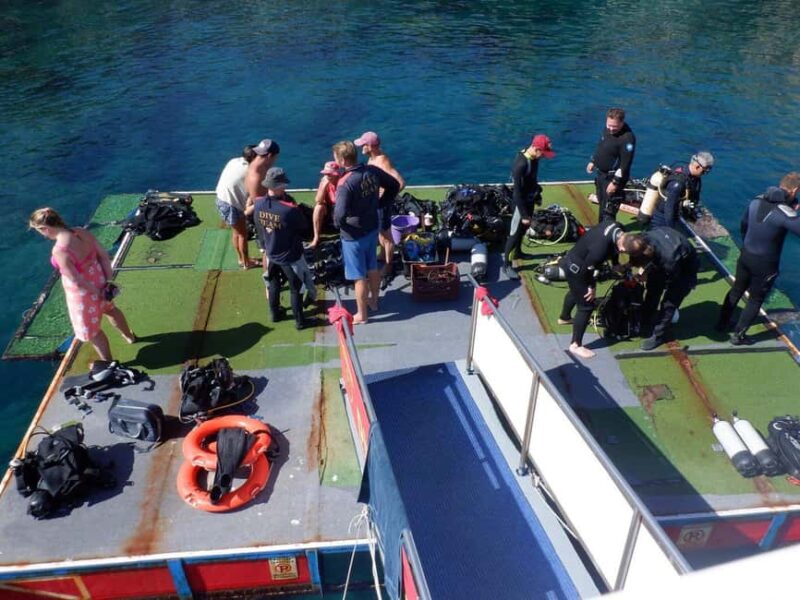 Kolymbia, Rhodes: Diving Adventure for All Levels - Logistics and Accessibility